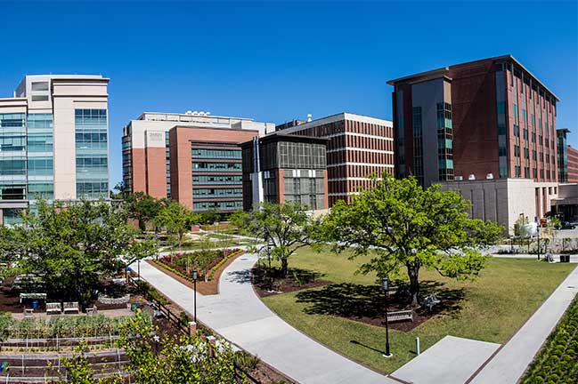 The MUSC Campus